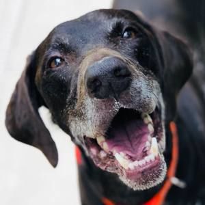 Meet your Posher, Leah